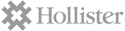 Hollister-02